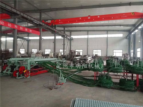 草坪六角網(wǎng)機(jī)廠家 草坪六角網(wǎng) 定州市明陽機(jī)械廠